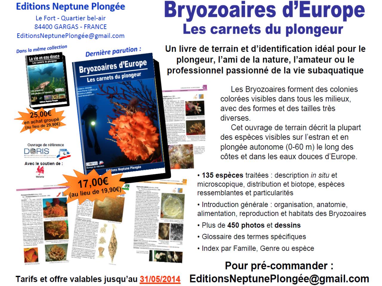 Bryozoaires